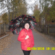  ,   , 51 ,   ,   , c 