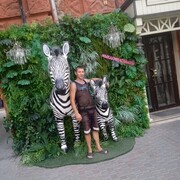 ���������� ������, ���� ������� ��������, 38 ���, ������������ ��� ������, ����� � ���������