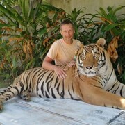 ���������� �����������, ���� ������� �����, 36 ���, ������������ ��� ������, ����� � ���������