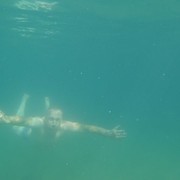  ,   , 59 ,   