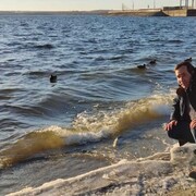 ���������� ���������, ���� ������� Shms, 36 ���, ������������ ��� c�������� ���������