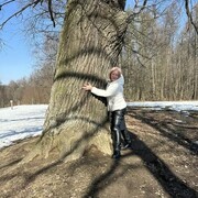 ���������� ������, ���� ������� ��������, 37 ���, ������������ ��� ����� � ���������, c�������� ���������, ���������