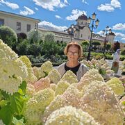 ���������� ������������, ���� ������� ������, 69 ���, ������������ ��� ���������