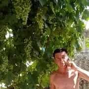 ���������� �����, ���� ������� ����, 44 ����, ������������ 