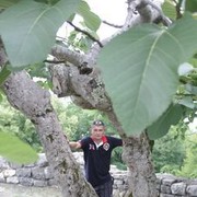 ���������� ������, ���� ������� Vladimir, 43 ����, ������������ ��� ������