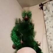  ,   , 44 ,  