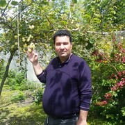  ,   Arash, 46 ,   ,   , c , 