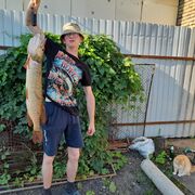 ����� ������ � �������� ����