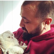  ,   Emre Samur, 41 ,   ,   , c 