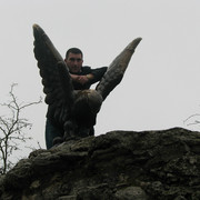 � � ���������� 2012 ���