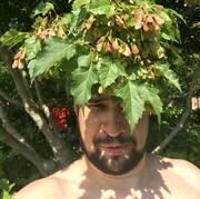 ���������� �����-���������, ���� ������� ������, 38 ���, ������������ ��� ������, ����� � ���������, c�������� ���������