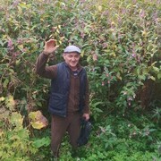  ,   , 47 ,   ,   , c , 