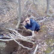 ���������� �����������, ���� ������� �������, 36 ���, ������������ ��� ������, ����� � ���������, c�������� ���������