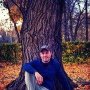 ���������� ��������, ���� ������� ���, 37 ���, ������������ ��� ������, ����� � ���������, c�������� ���������, ���������