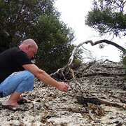  ,   Platon, 46 ,   ,   