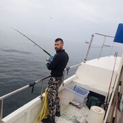  Sint Michielsgestel,  , 45
