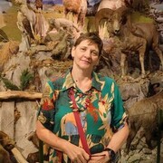 ���������� �����-�������, ���� ������� ������, 53 ����, ������������ ��� c�������� ���������, ���������