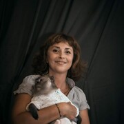 ���������� �����������, ���� ������� �����, 51 ���, ������������ ��� ������, ����� � ���������, c�������� ���������, ���������