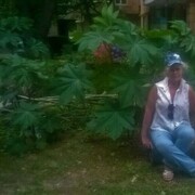  ,   , 61 ,   ,   , c 