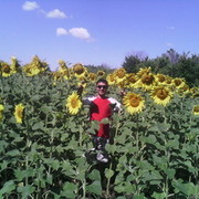  ,   Bek, 43 ,   