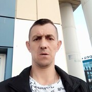  -,   , 41 ,   ,   