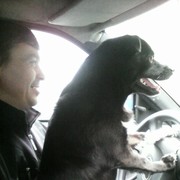 ���������� ��������, ���� ������� ������, 53 ����, ������������ ��� ������, ����� � ���������, c�������� ���������