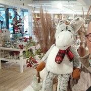  Ahrensburg,   , 51 ,     , c 