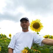 ���������� �����-���������, ���� ������� �������, 56 ���, ������������ ��� ������, ����� � ���������, c�������� ���������