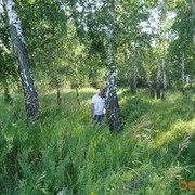 ���������� �������, ���� ������� ���� �������, 57 ���, ������������ ��� ������