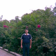  ,   Miha, 57 ,   ,   , c 