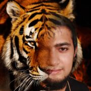 ���������� ������, ���� ������� �����, 28 ���, ������������ ��� ������, ����� � ���������, c�������� ���������