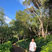 ���������� �������, ���� ������� Cavid, 29 ���, ������������ ��� ������, ����� � ���������