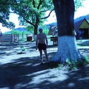  ,   , 46 ,   ,   , c 