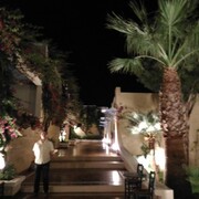 ���������� ���������, ���� ������� ����, 49 ���, ������������ ��� ����� � ���������, c�������� ���������