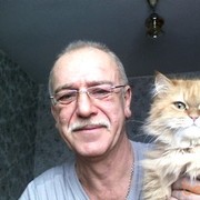  ,   , 65 ,   