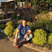  ,   , 53 ,   ,   