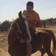  ,   Hamada, 34 ,   ,   