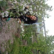 ���������� ����������, ���� ������� �������, 62 ����, ������������ ��� ����� � ���������, c�������� ���������