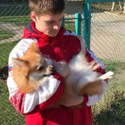 ���������� ���������, ���� ����� Igor, 21 ���, ������������ ��� ������, ����� � ���������, c�������� ���������