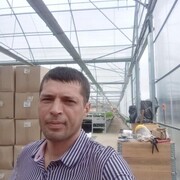  ,   , 44 ,   ,   , c , 