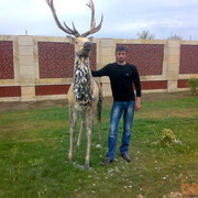 ,   Aslan, 40 ,   