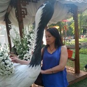  ,   , 45 ,     , c 