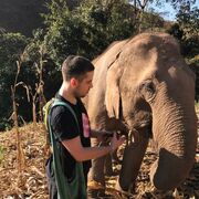 ���������� �����-���������, ���� ������� ����, 39 ���, ������������ ��� ������, ����� � ���������