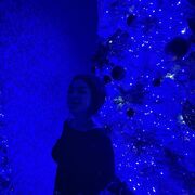 ���������� ������, ���� ������� ����, 38 ���, ������������ ��� ������, ����� � ���������