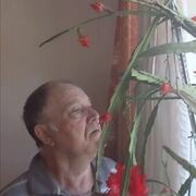  ,   , 73 ,   ,   
