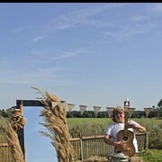  ,   , 55 ,     