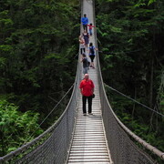 ���������� �������, ���� ������� Vikont, 60 ���, ������������ ��� ������, ����� � ���������, c�������� ���������