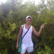  ,   0082883, 38 ,  