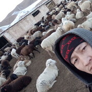 ���������� ������, ���� ������� �����, 38 ���, ������������ ��� ����� � ���������