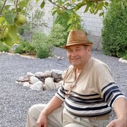 ���������� �����, ���� ������� ������, 70 ���, ������������ ��� c�������� ���������